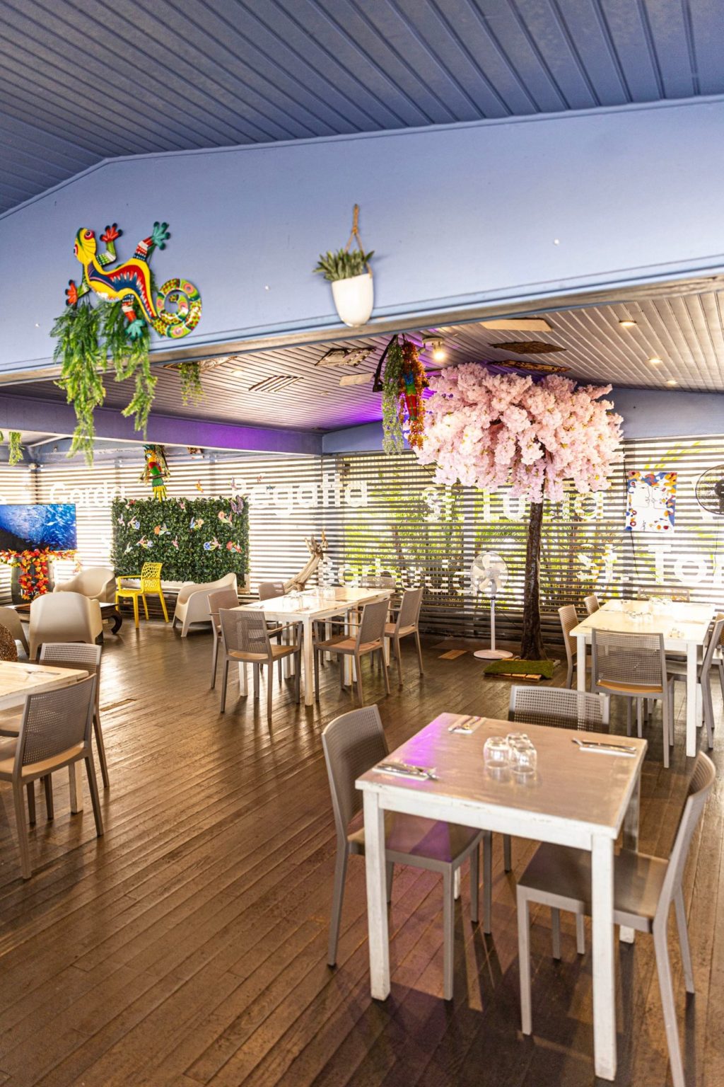Salle et arbre en fleurs